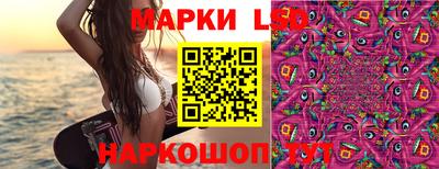 гидра Краснокаменск