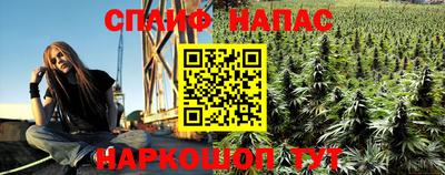 гидра Краснокаменск