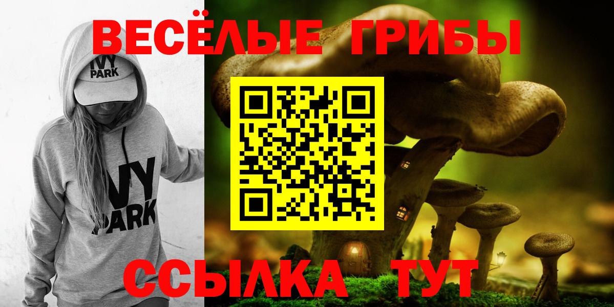 Псилоцибиновые грибы GOLDEN TEACHER Каменка